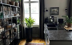 Luxury Apartment In The Center